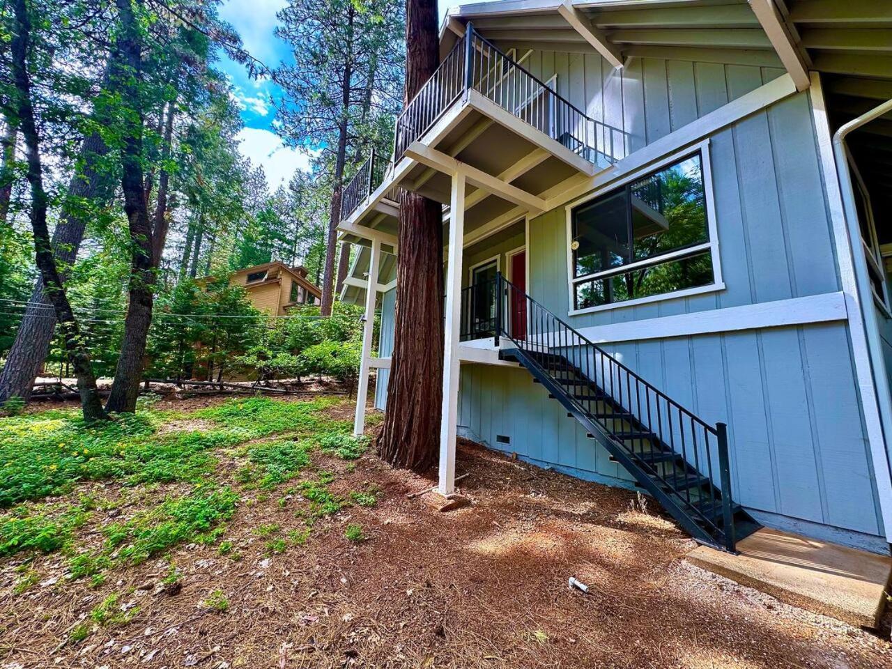 Cabin In The Trees-Game Room Pollock Pines Екстериор снимка