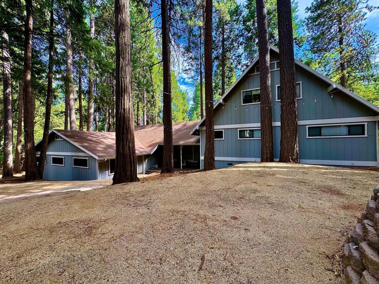 Cabin In The Trees-Game Room Pollock Pines Екстериор снимка