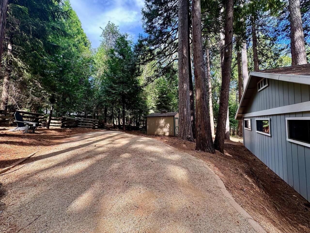 Cabin In The Trees-Game Room Pollock Pines Екстериор снимка